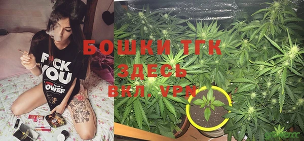 тгк Видное