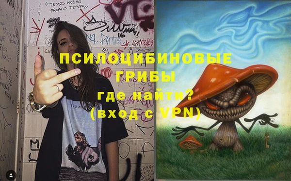 бошки Заволжье